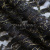 Кружевное полотно XD LACE 1-4, 80 гр/м2, шир.150см, цвет чёрный - купить в Якутске. Цена 245.94 руб.