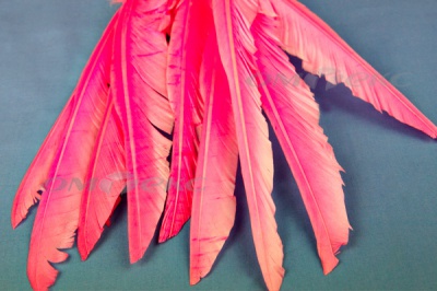 Декоративный Пучок из перьев, перо 25см/розовый - купить в Якутске. Цена: 14.40 руб.