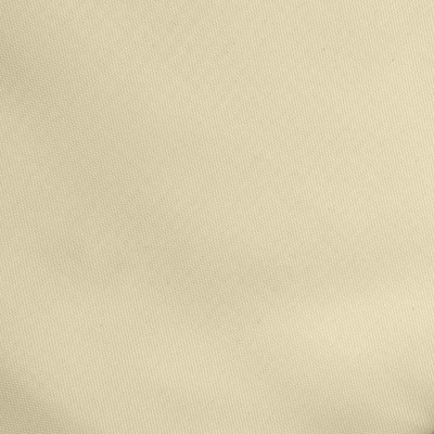 Ткань подкладочная Таффета 14-1014, антист., 53 гр/м2, шир.150см, цвет бежевый - купить в Якутске. Цена 62.37 руб.