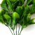 Трава искусственная -1, шт (эвкалипт лист 32 см/8 см)				 - купить в Якутске. Цена: 169.93 руб.