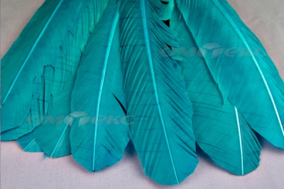 Декоративный Пучок из перьев, перо 24см/голубой - купить в Якутске. Цена: 12.19 руб.