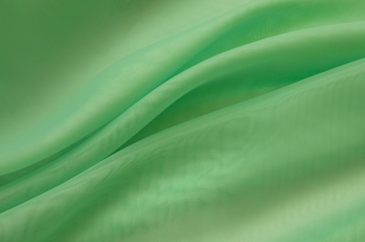Портьерный капрон 15-6123, 47 гр/м2, шир.300см, цвет св.зелёный - купить в Якутске. Цена 137.27 руб.