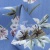 Плательная ткань "Фламенко" 12.1, 80 гр/м2, шир.150 см, принт растительный - купить в Якутске. Цена 241.49 руб.