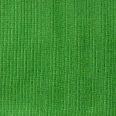 Ткань подкладочная Таффета 17-6153, 48 гр/м2, шир.150см, цвет трава - купить в Якутске. Цена 54.64 руб.