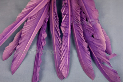 Декоративный Пучок из перьев, перо 25см/фиолетовый - купить в Якутске. Цена: 12.19 руб.